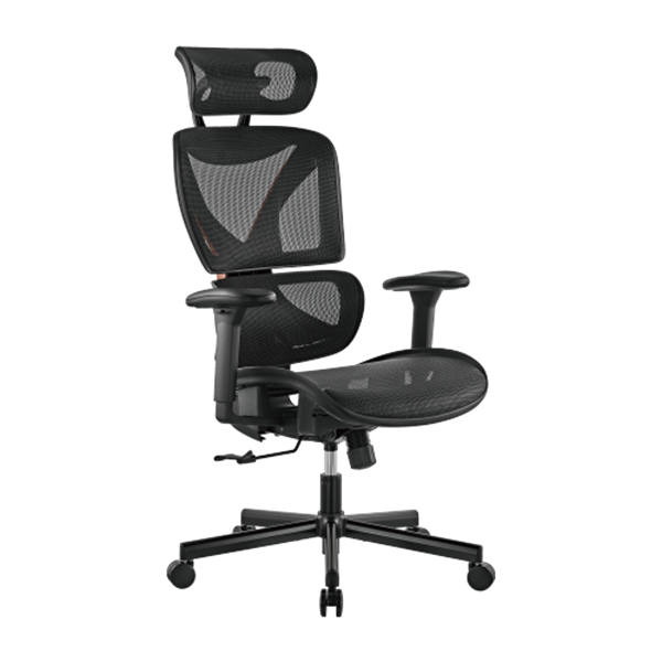 BRATECK SpineX Ergonomic Office Chair with Posture Enhancement. Human Engineering Curved Design, Breathable Mesh Back, Height Adjustable Armrests, Non-Marking Casters, Adjustable Headrest.