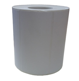 750 100x48mm Permanent Labels on a small core roll.